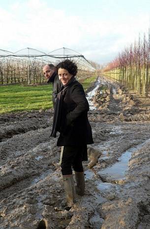 Virée aux Pays-Bas pour choisir les arbres du projet des Mureaux