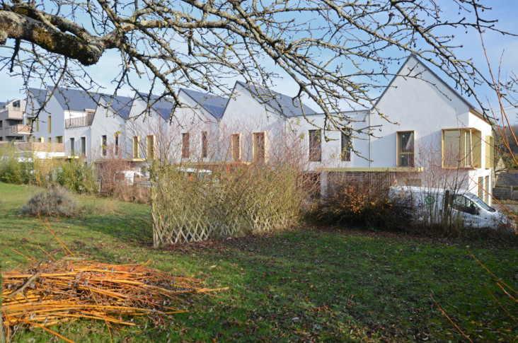 Décembre 2018- Les maisons depuis les jardins alentour 