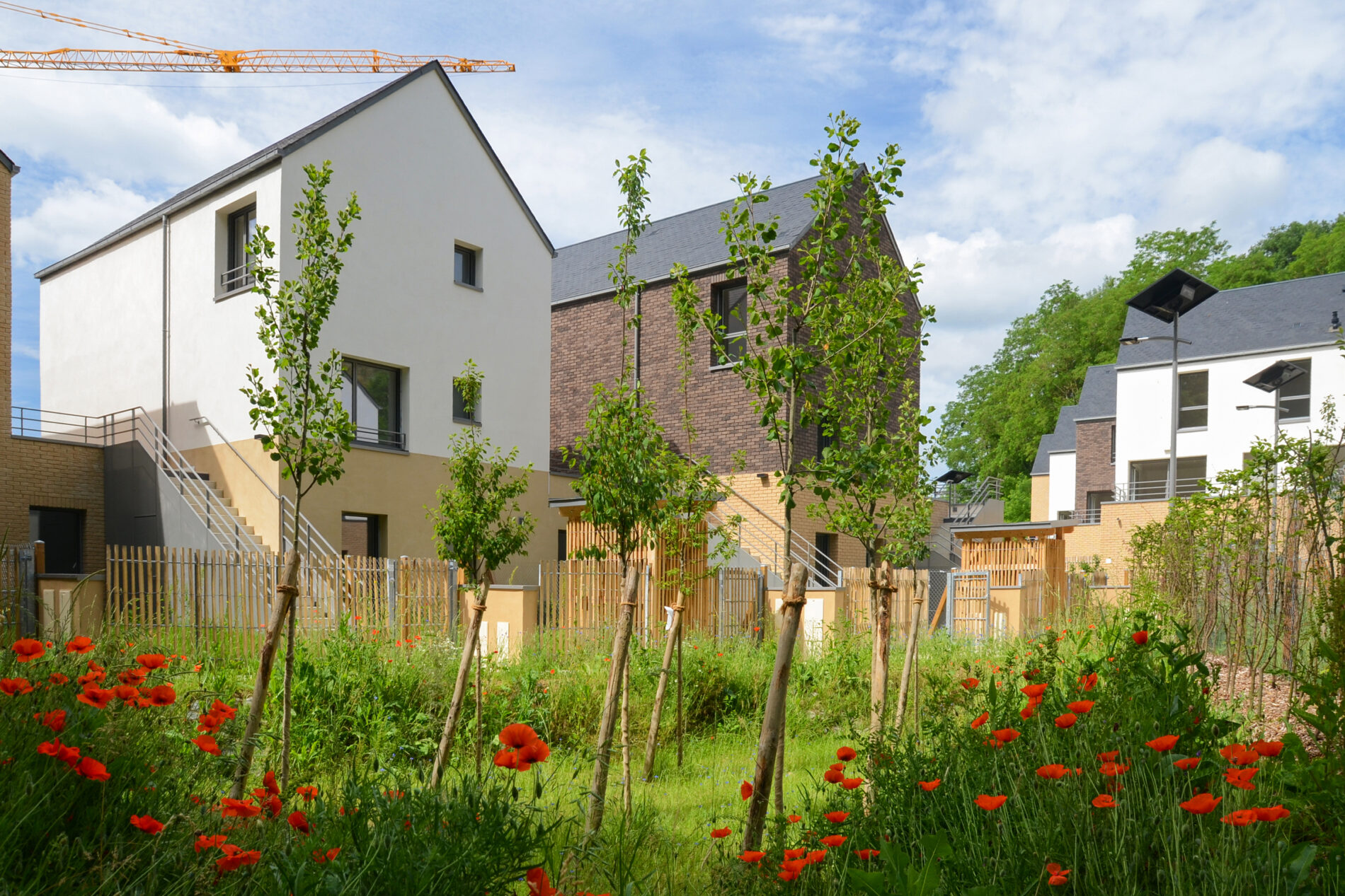 les accès aux logements en duplex au nord et les jardins de pluie