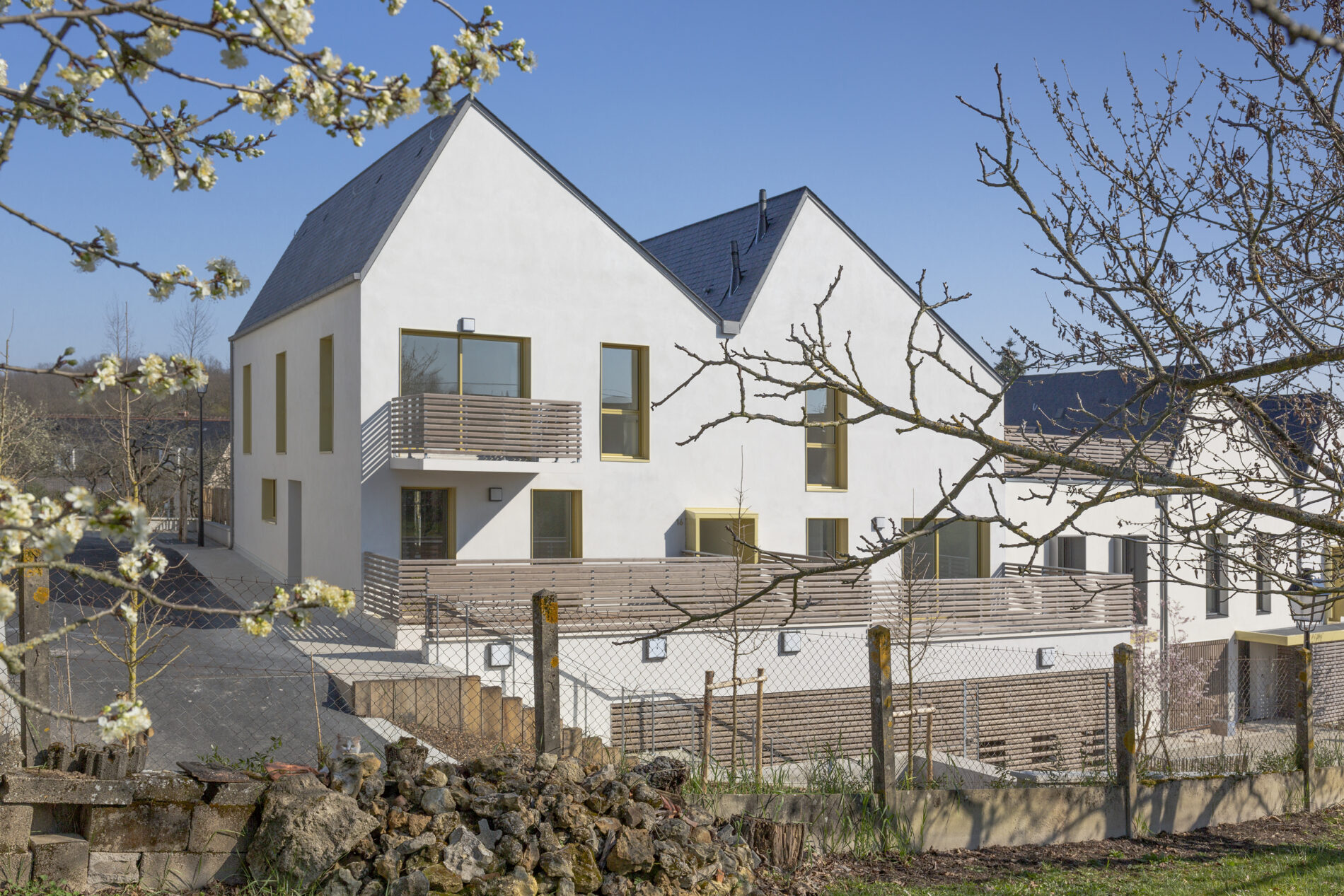 les logements individuels et collectifs depuis le jardin voisin