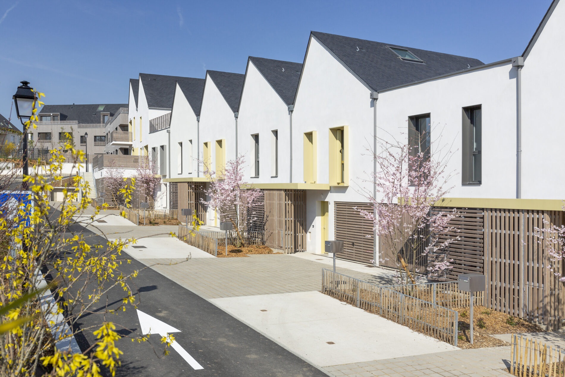 depuis la nouvelle rue