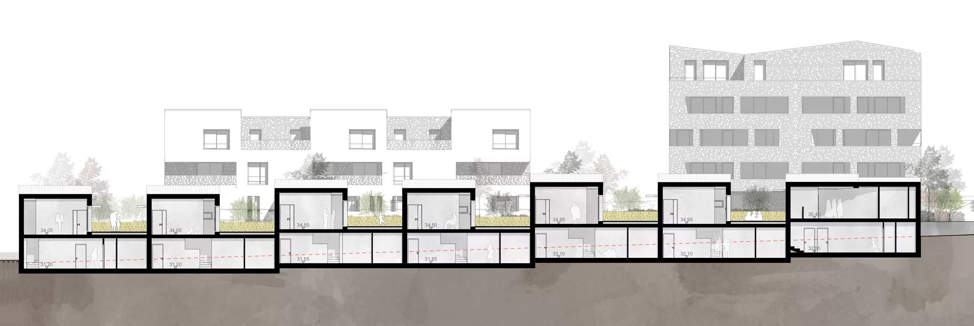 coupe longitudinale sur les maisons accolées