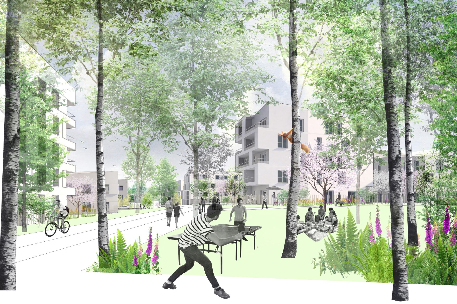 vue du bas du site - les logements collectifs