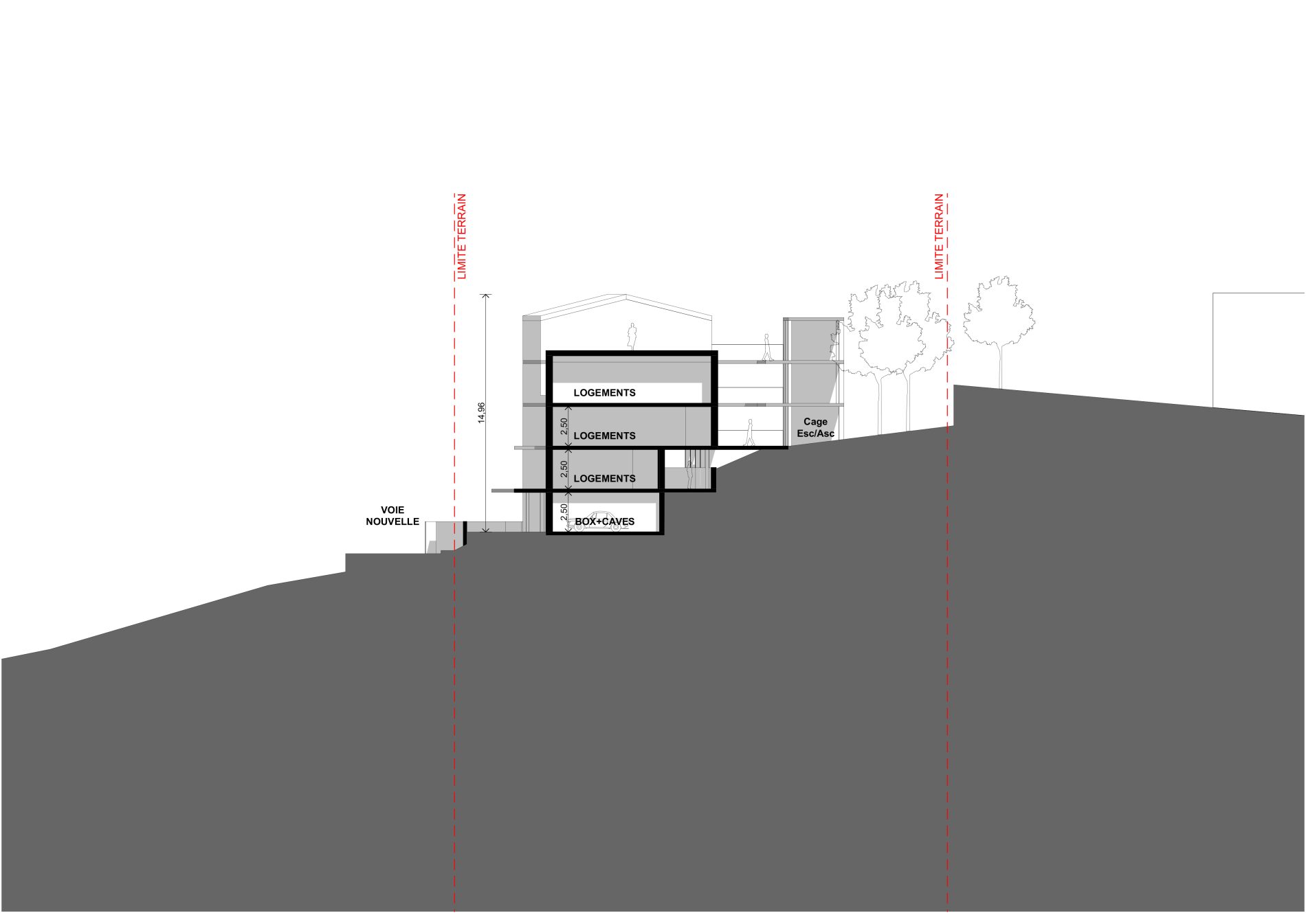 coupe transversale nord-sud