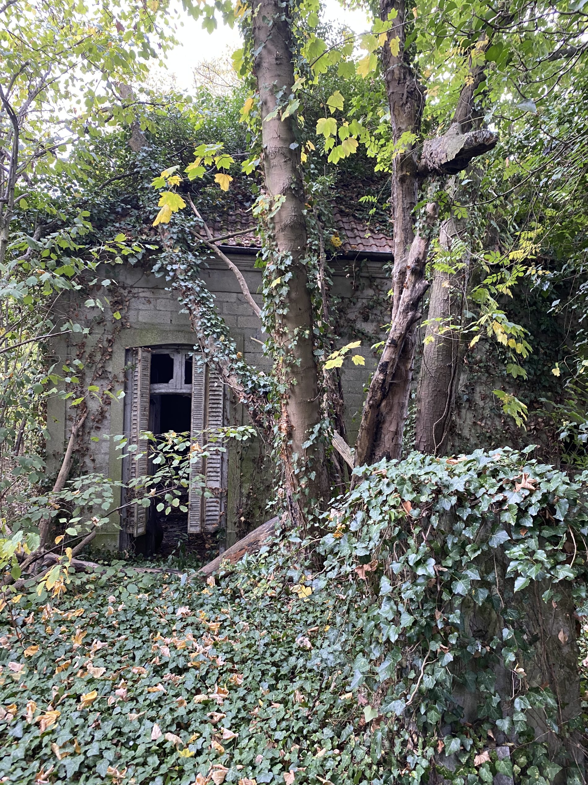 le cœur d'ilot planté et l'atelier d'artiste à réhabiliter