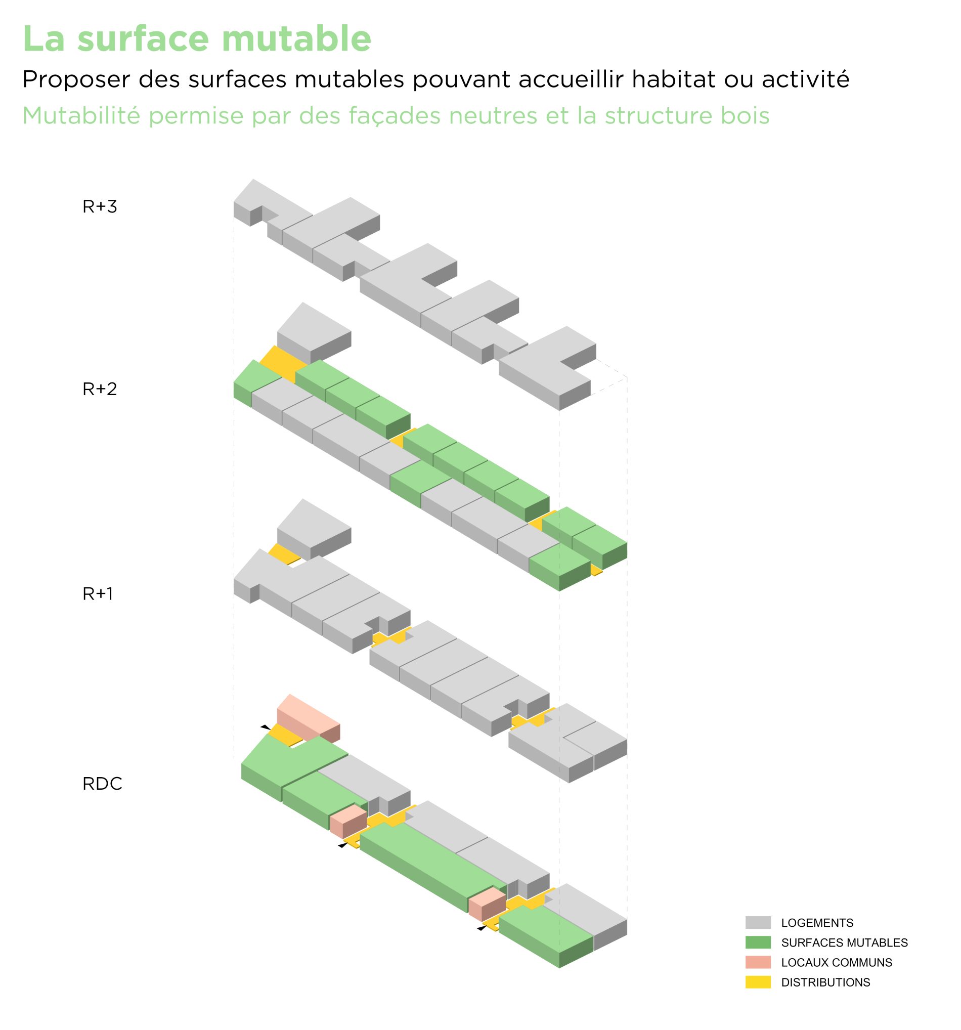 Immeuble d’habitation intergénérationnel modulable - Habitat / activité image n° 997